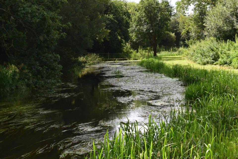 Waterway clearance
