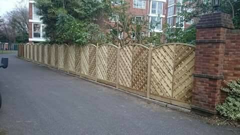 Decorative trellis-top fencing