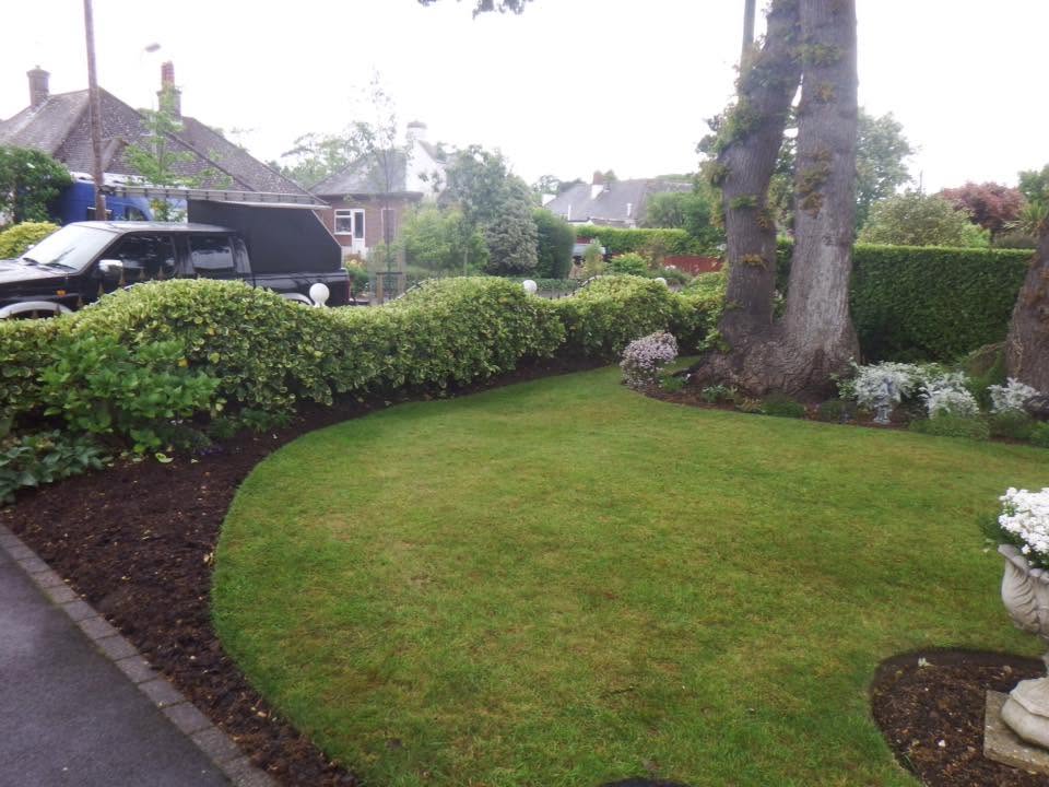 Manicured lawn and beds