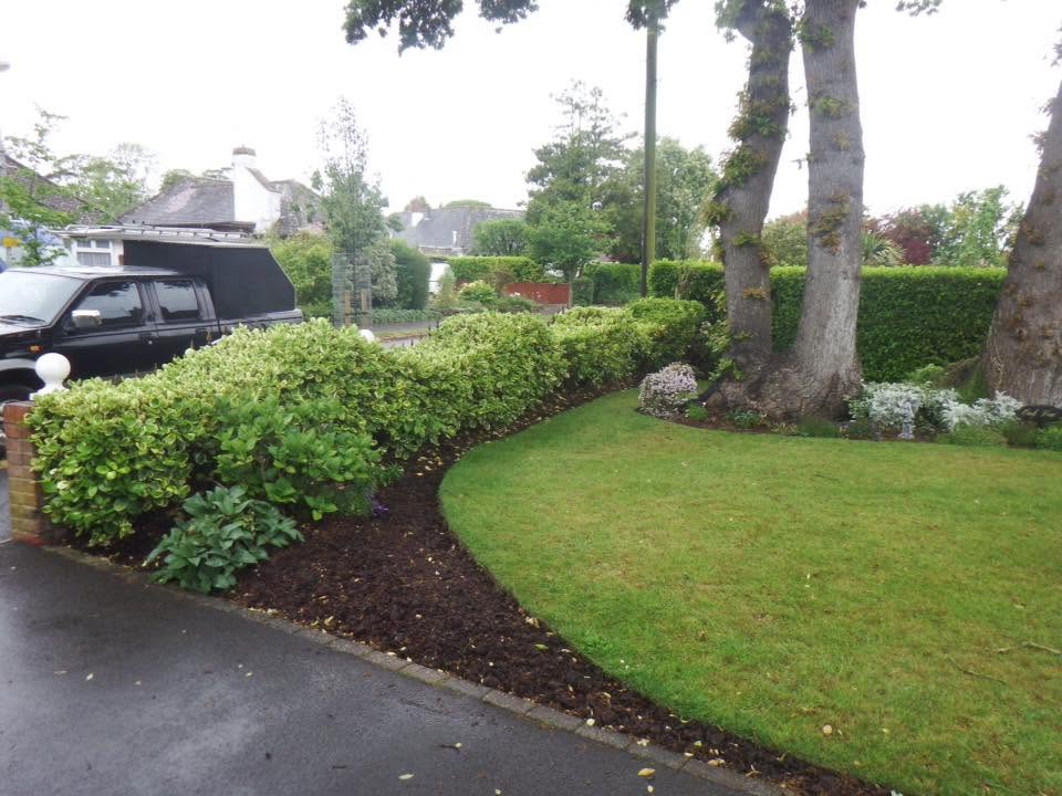 Border and lawn maintenance
