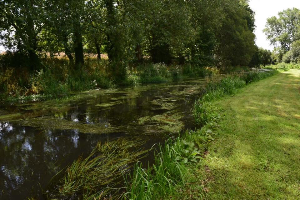 Waterway before clearance